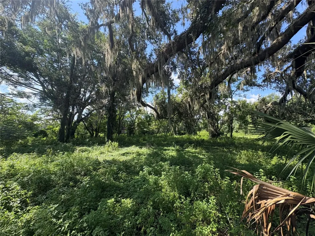 6177 Cr 625 Bushnell FL 33513