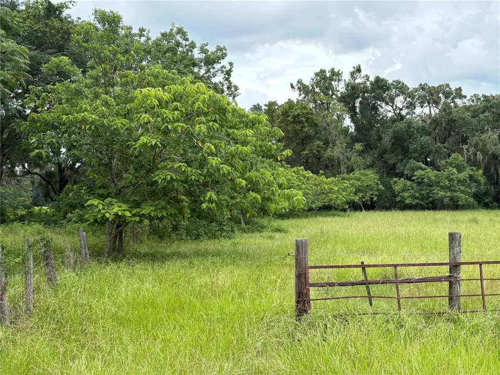 6177 Cr 625 Bushnell FL 33513