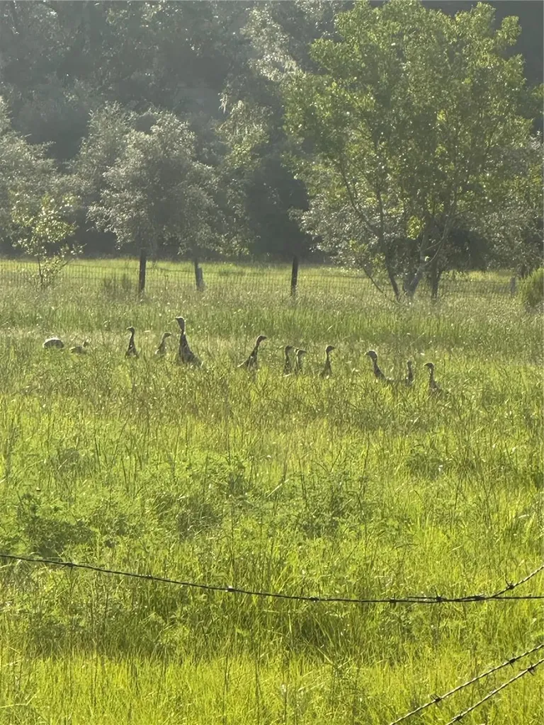 6177 Cr 625 Bushnell FL 33513
