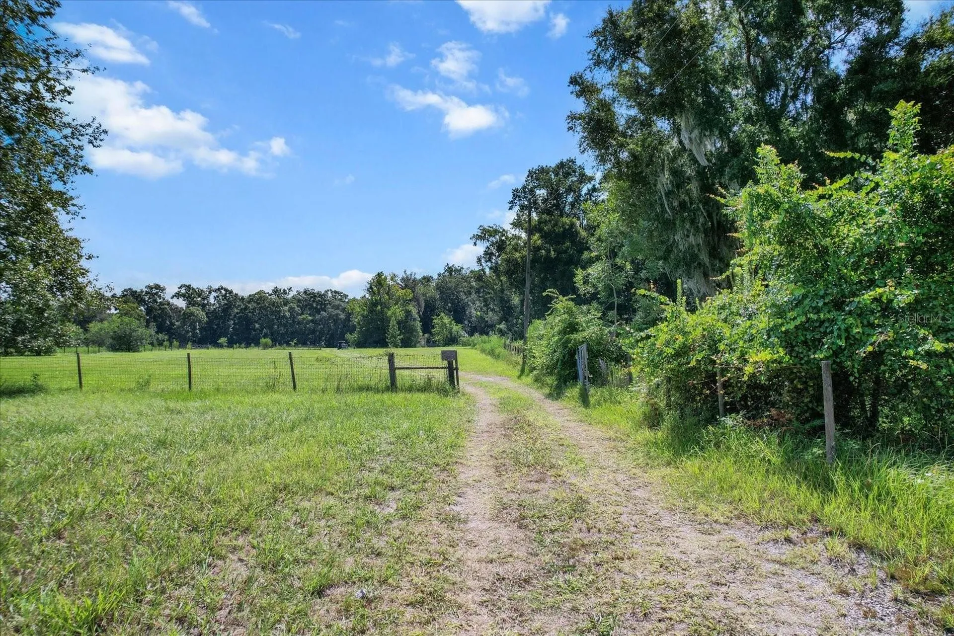 6177 Cr 625 Bushnell FL 33513
