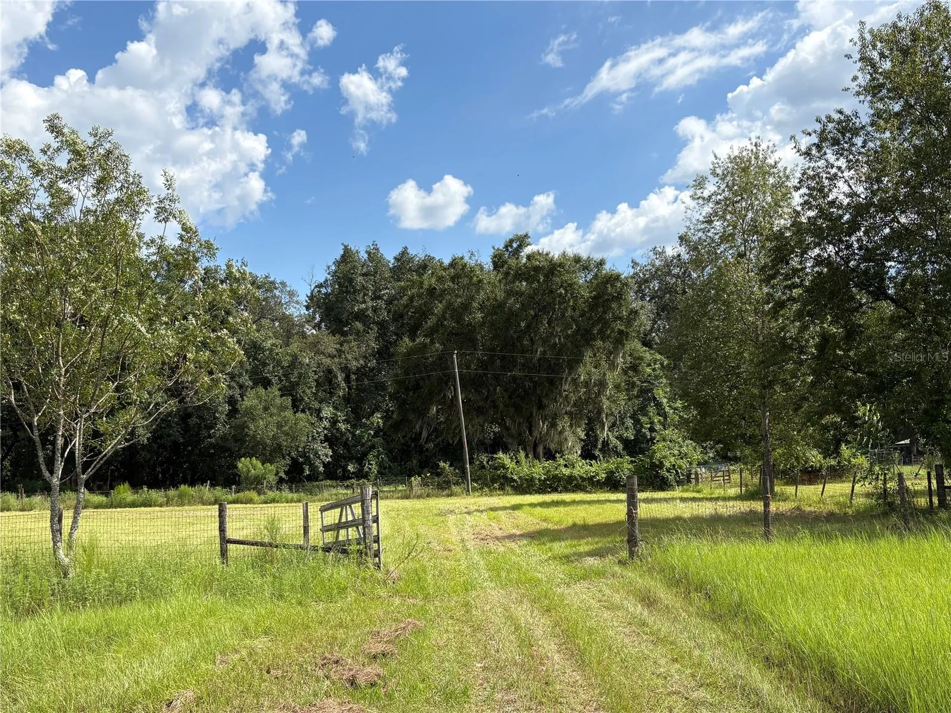 6177 Cr 625 Bushnell FL 33513
