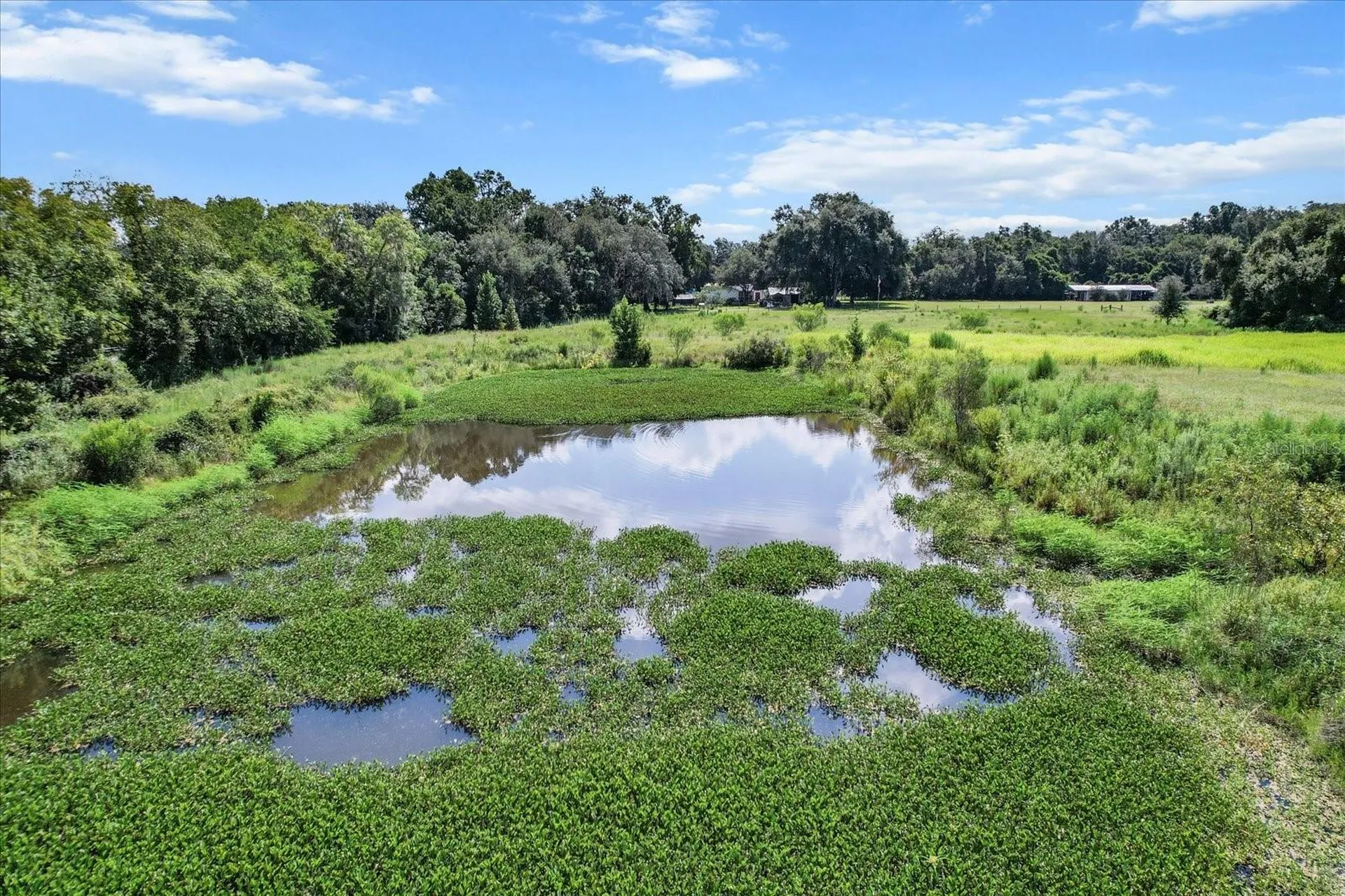6177 Cr 625 Bushnell FL 33513