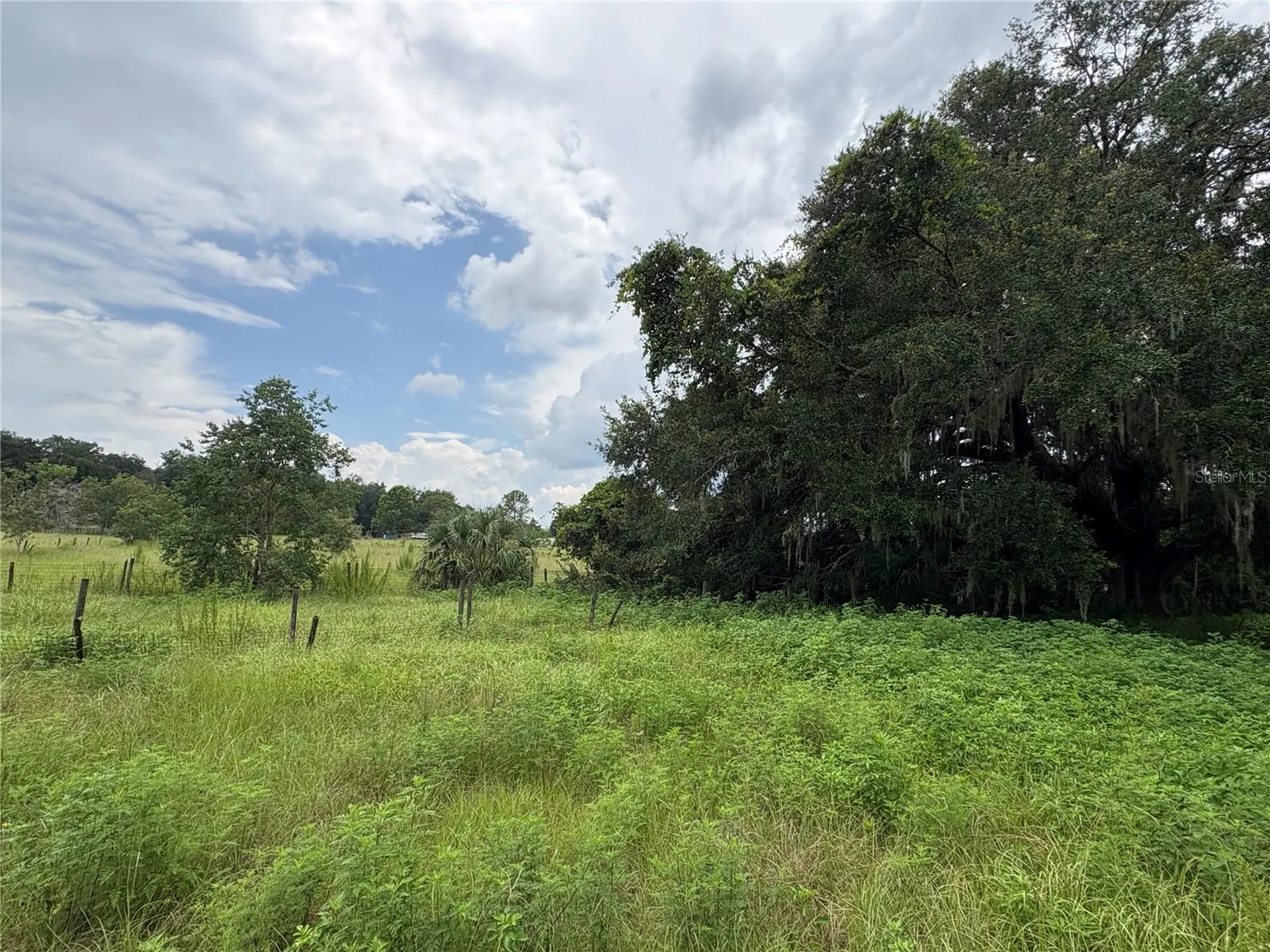 6177 Cr 625 Bushnell FL 33513