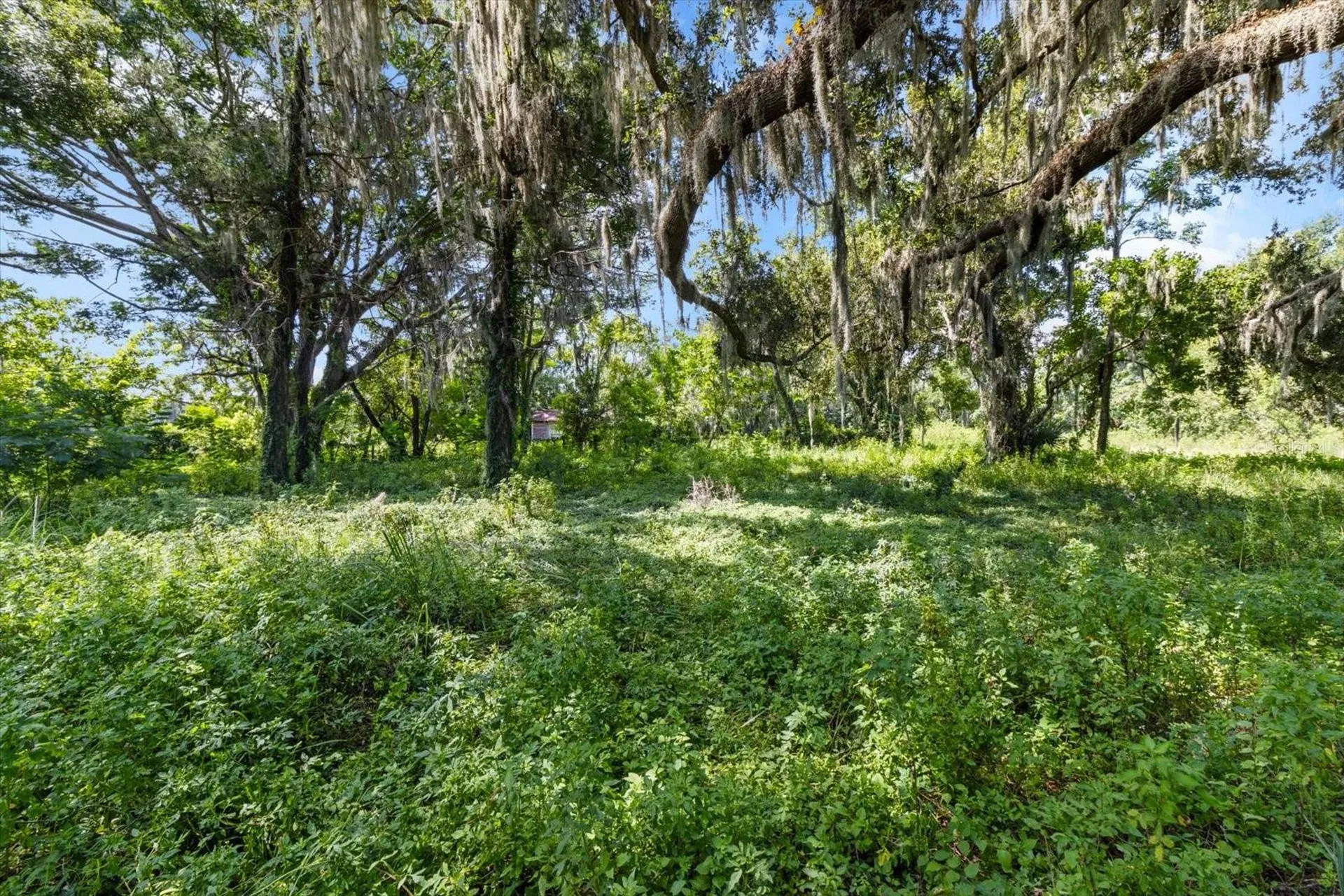 6177 Cr 625 Bushnell FL 33513