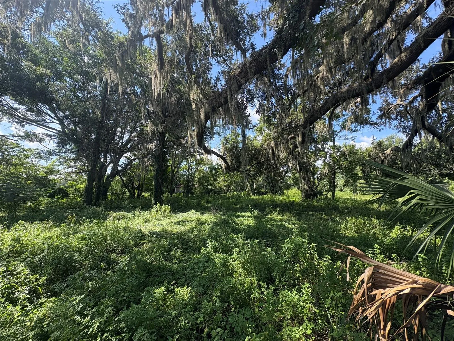6177 Cr 625 Bushnell FL 33513