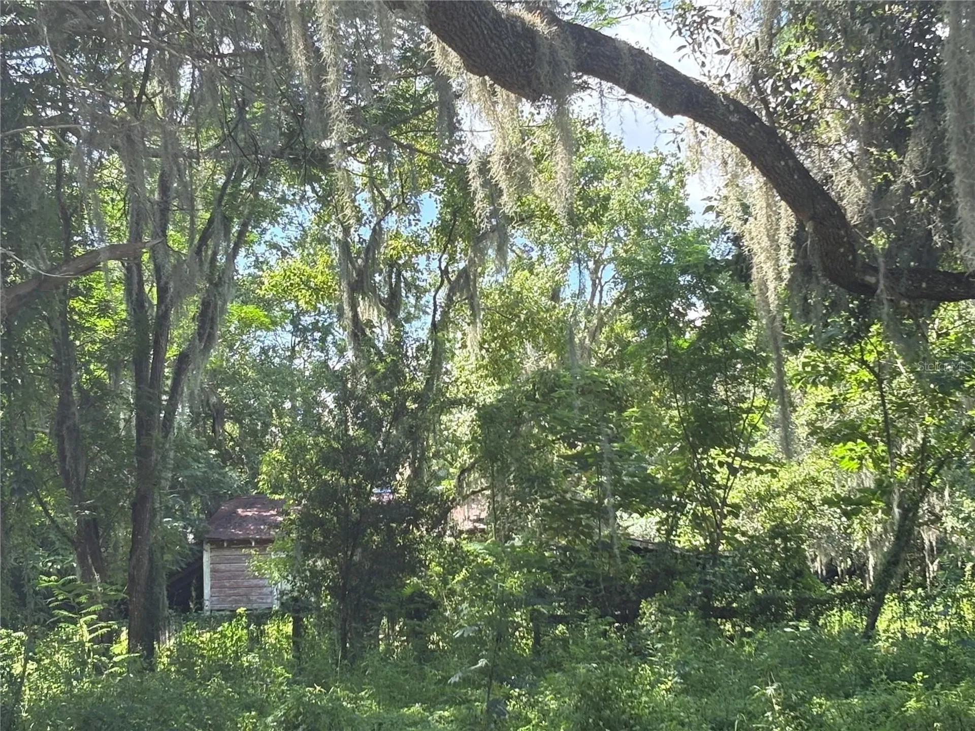 6177 Cr 625 Bushnell FL 33513