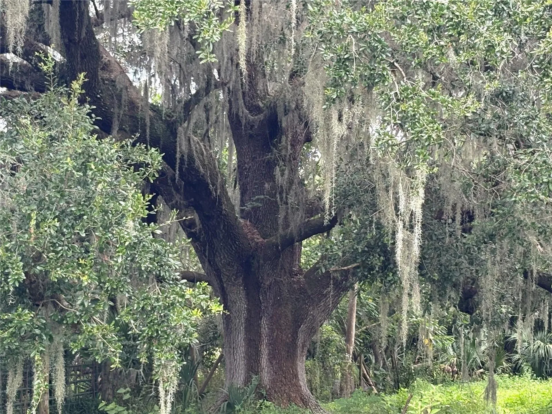 6177 Cr 625 Bushnell FL 33513