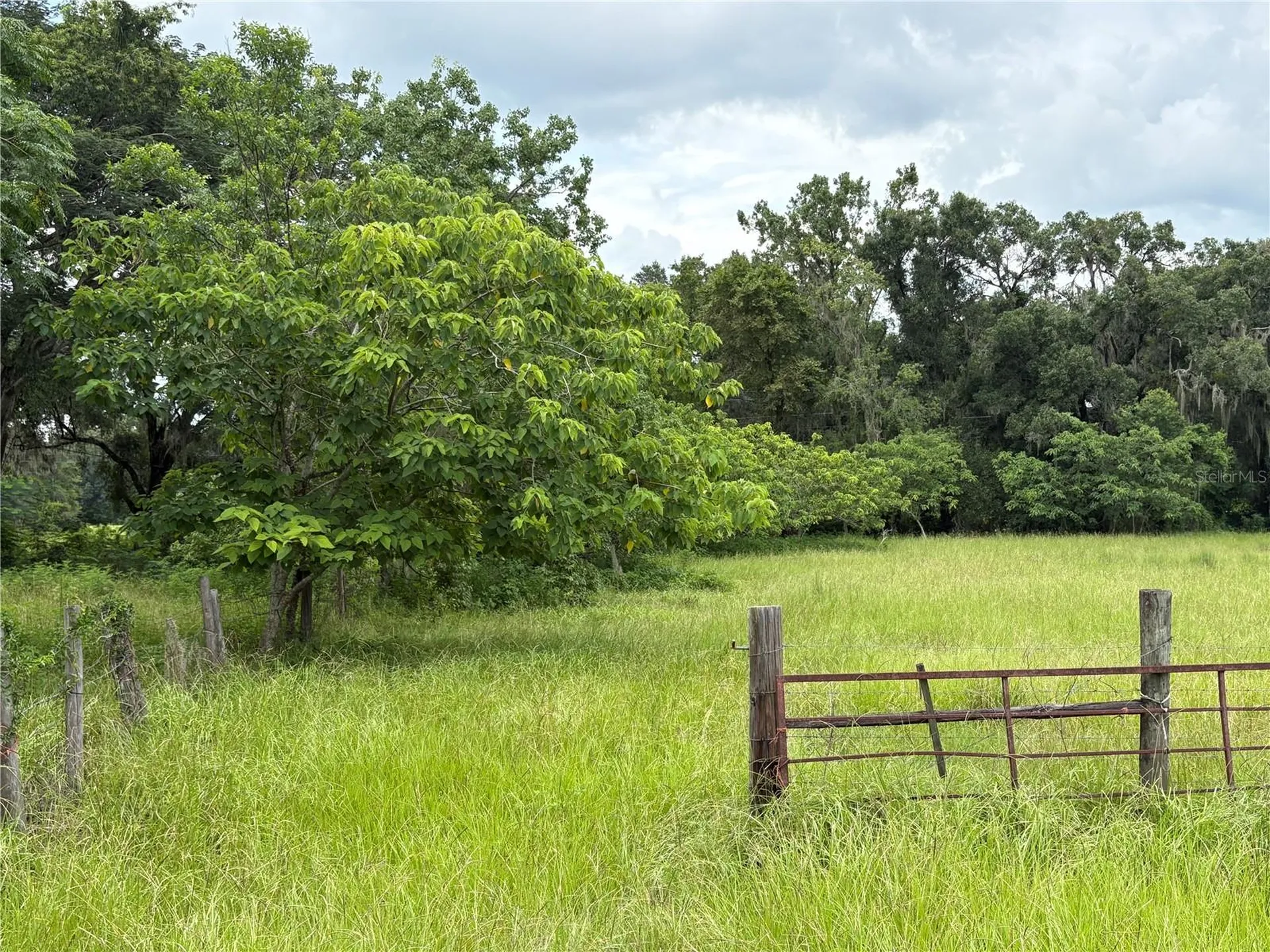 6177 Cr 625 Bushnell FL 33513