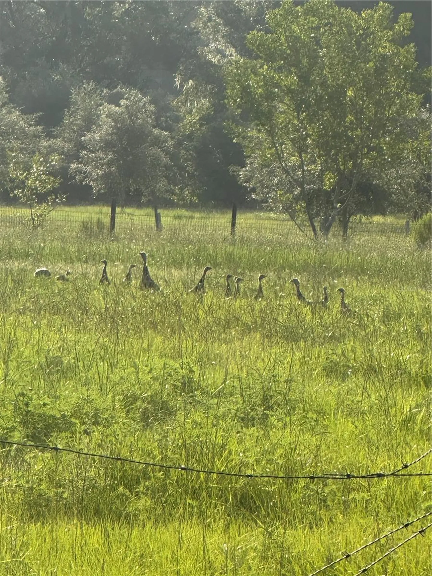 6177 Cr 625 Bushnell FL 33513