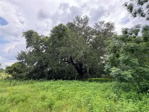 6177 Cr 625 Bushnell FL 33513