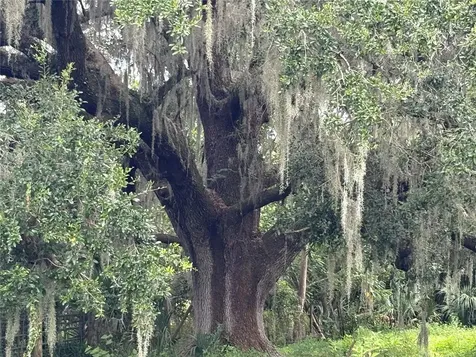 6177 Cr 625 Bushnell FL 33513