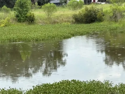 6177 Cr 625 Bushnell FL 33513