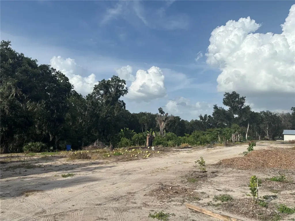 7117 S County Line Road Plant City FL 33567