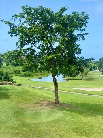 4703 Rio Mar Village Rio Grande PR 00745