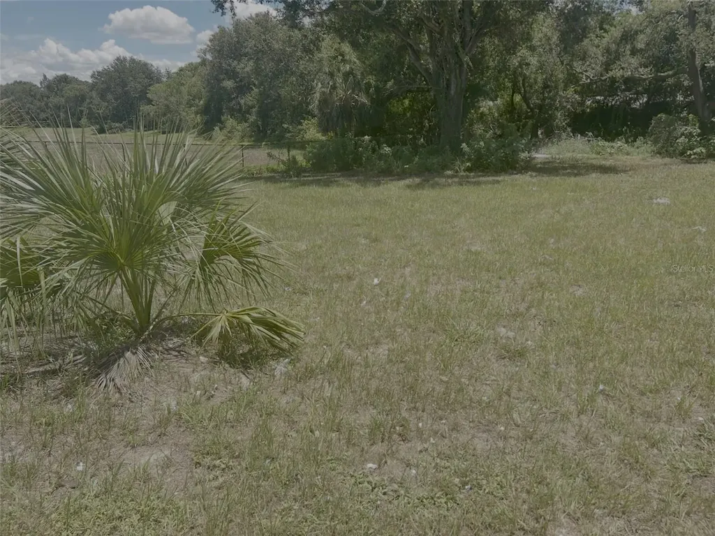 1904-1906 W Busch Boulevard Tampa FL 33612
