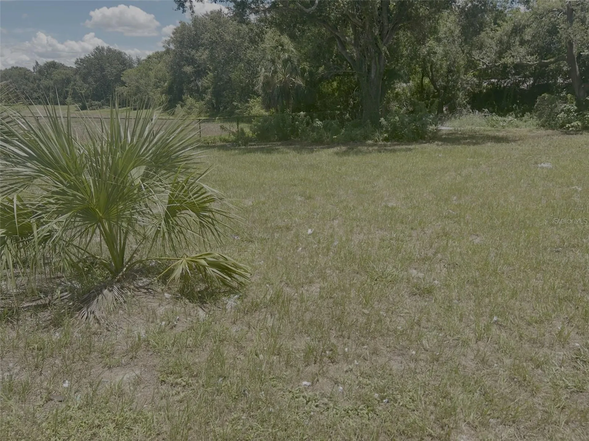 1904-1906 W Busch Boulevard Tampa FL 33612