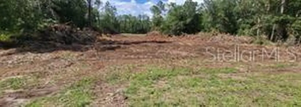 Bahia Terrace Drive Ocala FL 34472