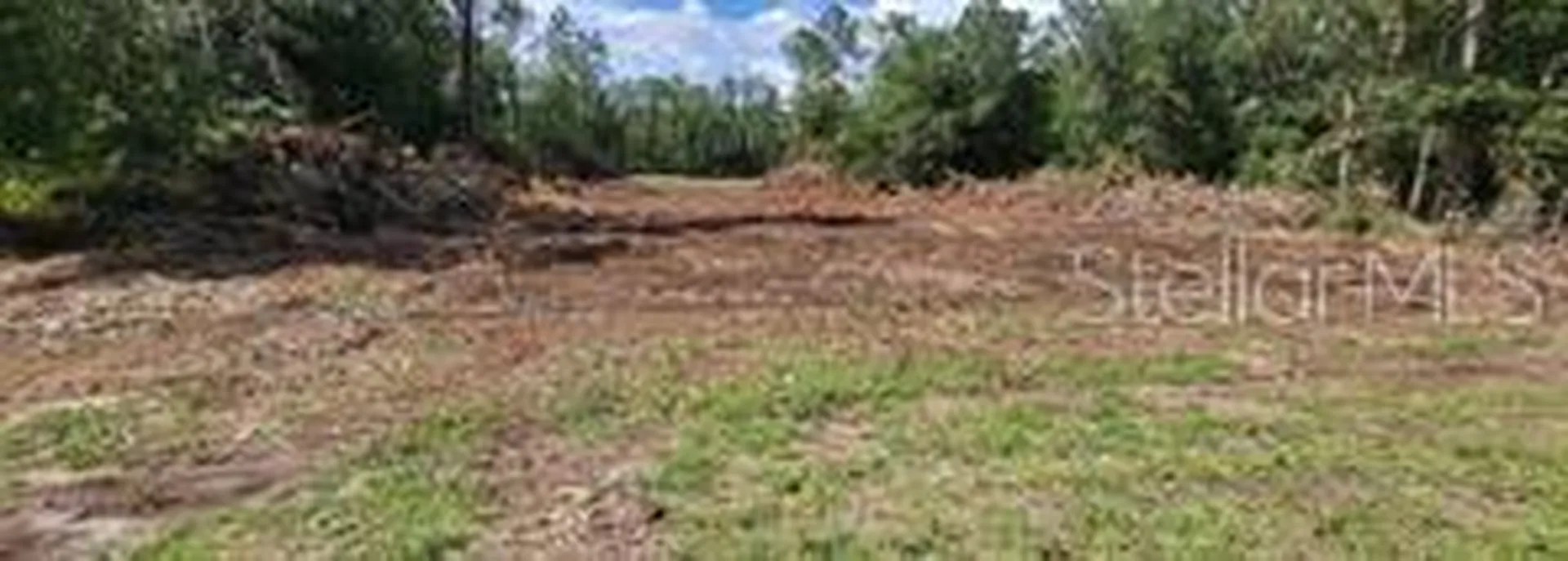 Bahia Terrace Drive Ocala FL 34472