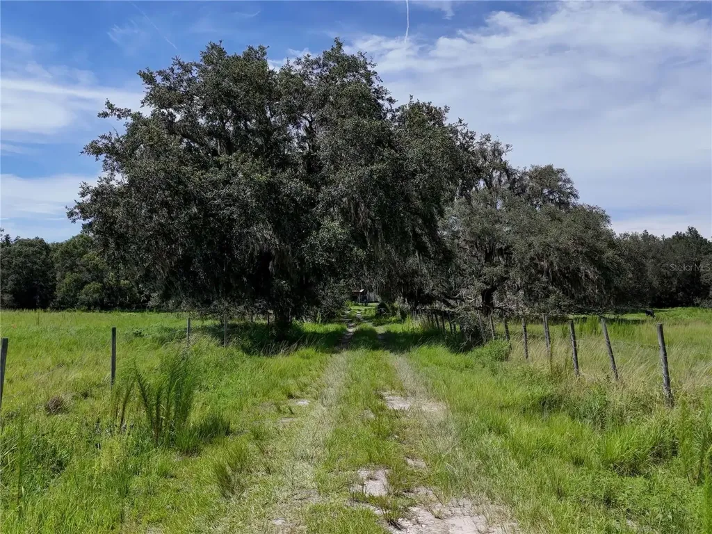 20089 Ayers Road Brooksville FL 34604
