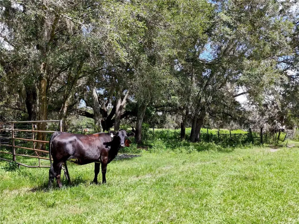 20089 Ayers Road Brooksville FL 34604