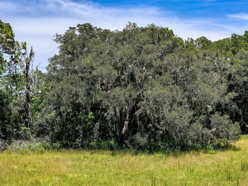 20089 Ayers Road Brooksville FL 34604