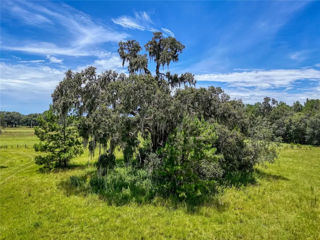 20089 Ayers Road Brooksville FL 34604
