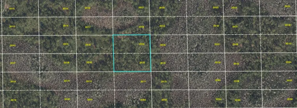 Dill Road Orlando FL 32820