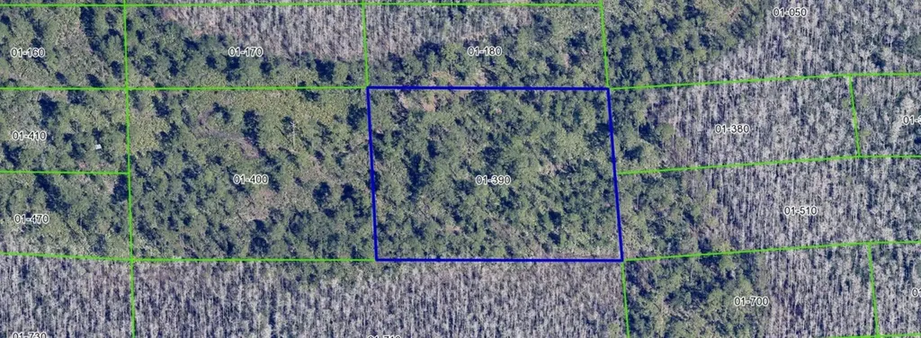 Dill Road Orlando FL 32820