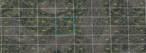 Dill Road Orlando FL 32820