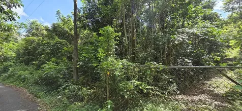 Carr 647 Bo. Candelaria Lote D Vega Alta PR 00692
