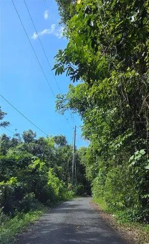 Carr 647 Bo. Candelaria Lote D Vega Alta PR 00692
