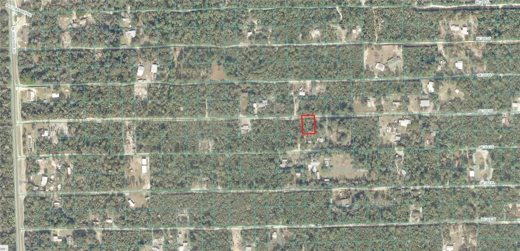 Tbd NE 235th Street Fort Mc Coy FL 32134