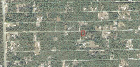 Tbd NE 235th Street Fort Mc Coy FL 32134