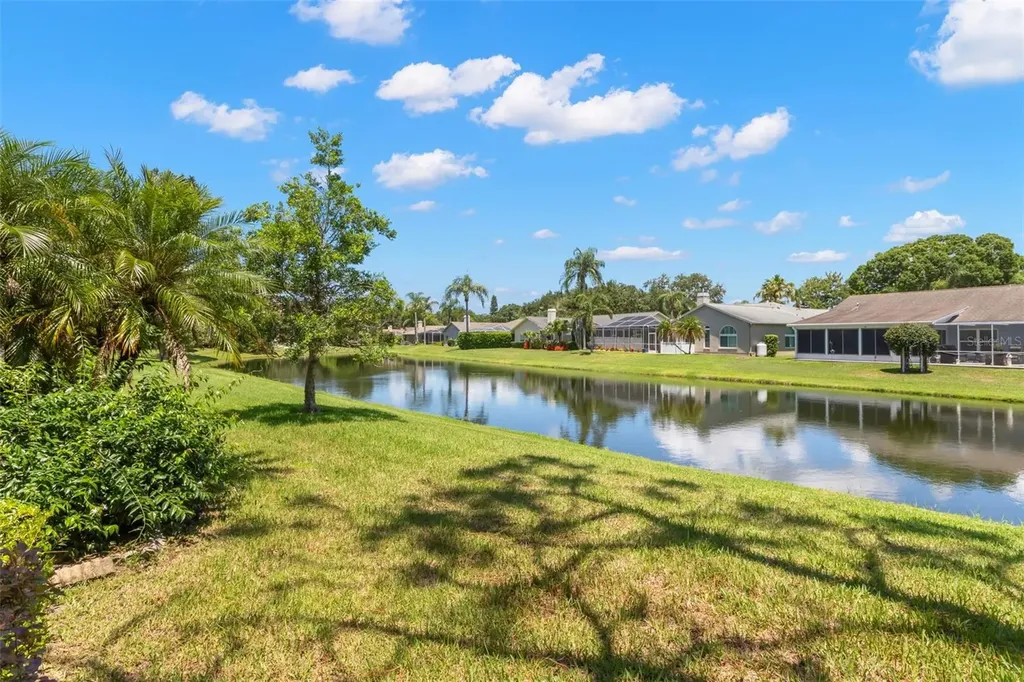 5511 Salem Square Drive N Palm Harbor FL 34685