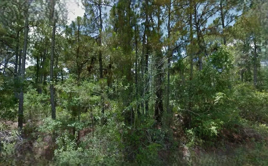 Boyd Avenue North Port FL 34286