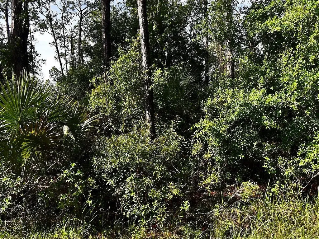 Boyd Avenue North Port FL 34286
