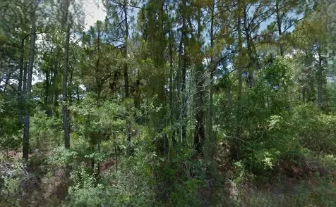 Boyd Avenue North Port FL 34286