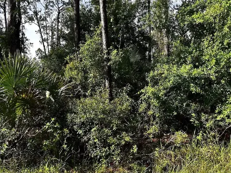 Boyd Avenue North Port FL 34286