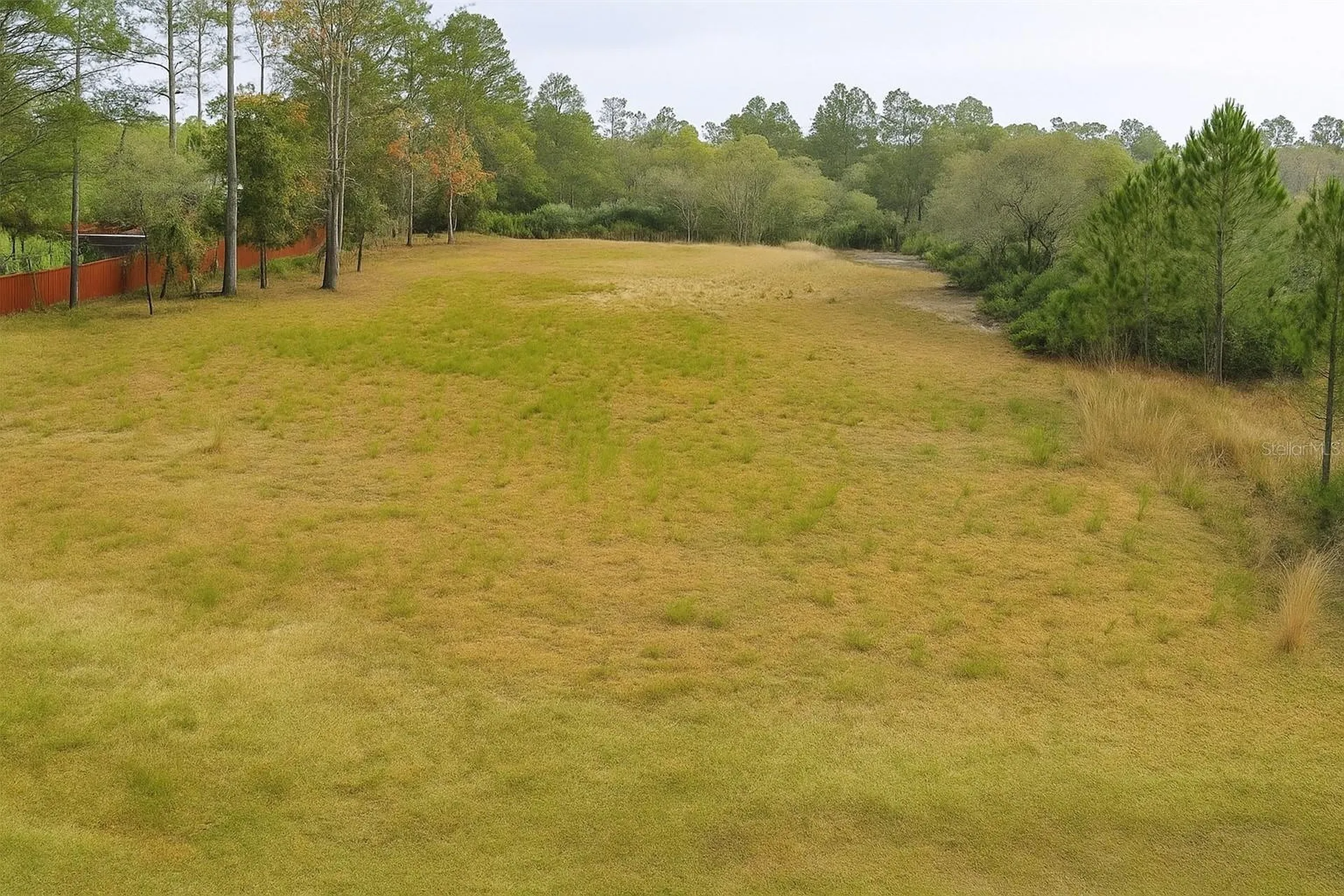 Tamarac Street Eustis FL 32736