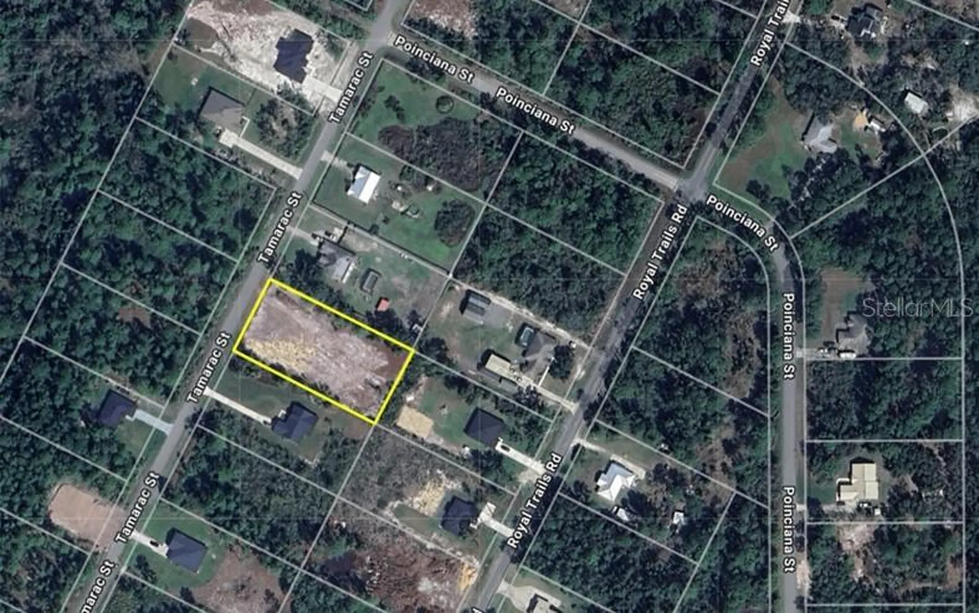 Tamarac Street Eustis FL 32736