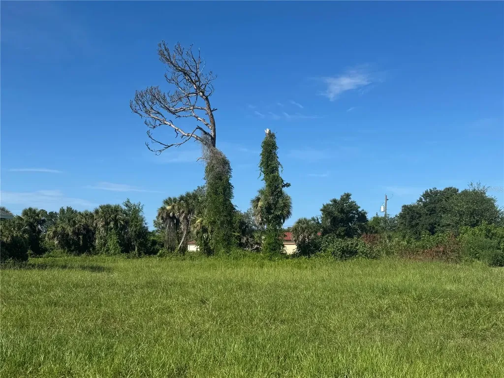 263 White Marsh Lane Rotonda West FL 33947