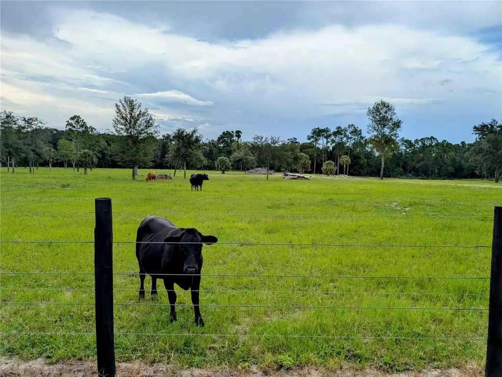 Peterson Road Pierson FL 32180