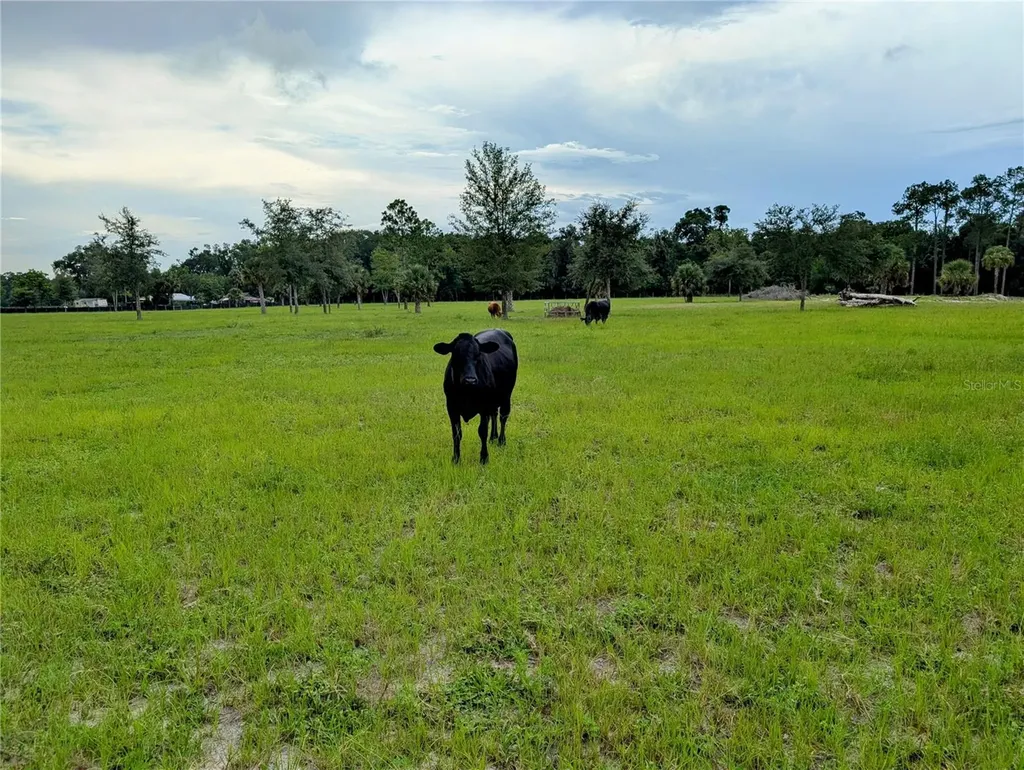 Peterson Road Pierson FL 32180