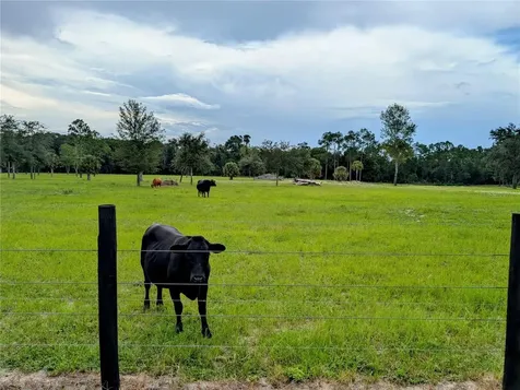Peterson Road Pierson FL 32180