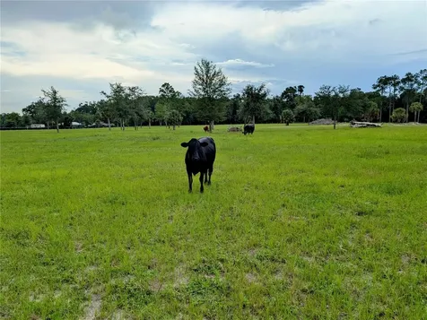 Peterson Road Pierson FL 32180