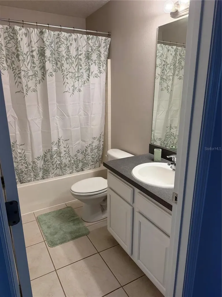 7012 Cupseed Lane Harmony FL 34773