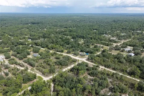 0 NE 90 Street Bronson FL 32621