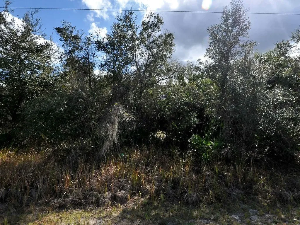 Lot 31 Casco Circle North Port FL 34288
