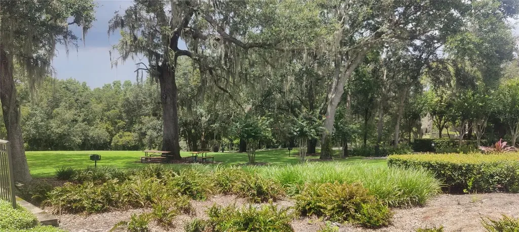 22011 Belgian Court Mount Dora FL 32757