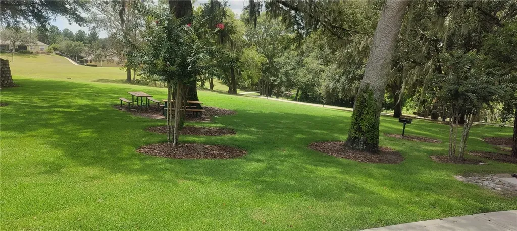 22011 Belgian Court Mount Dora FL 32757